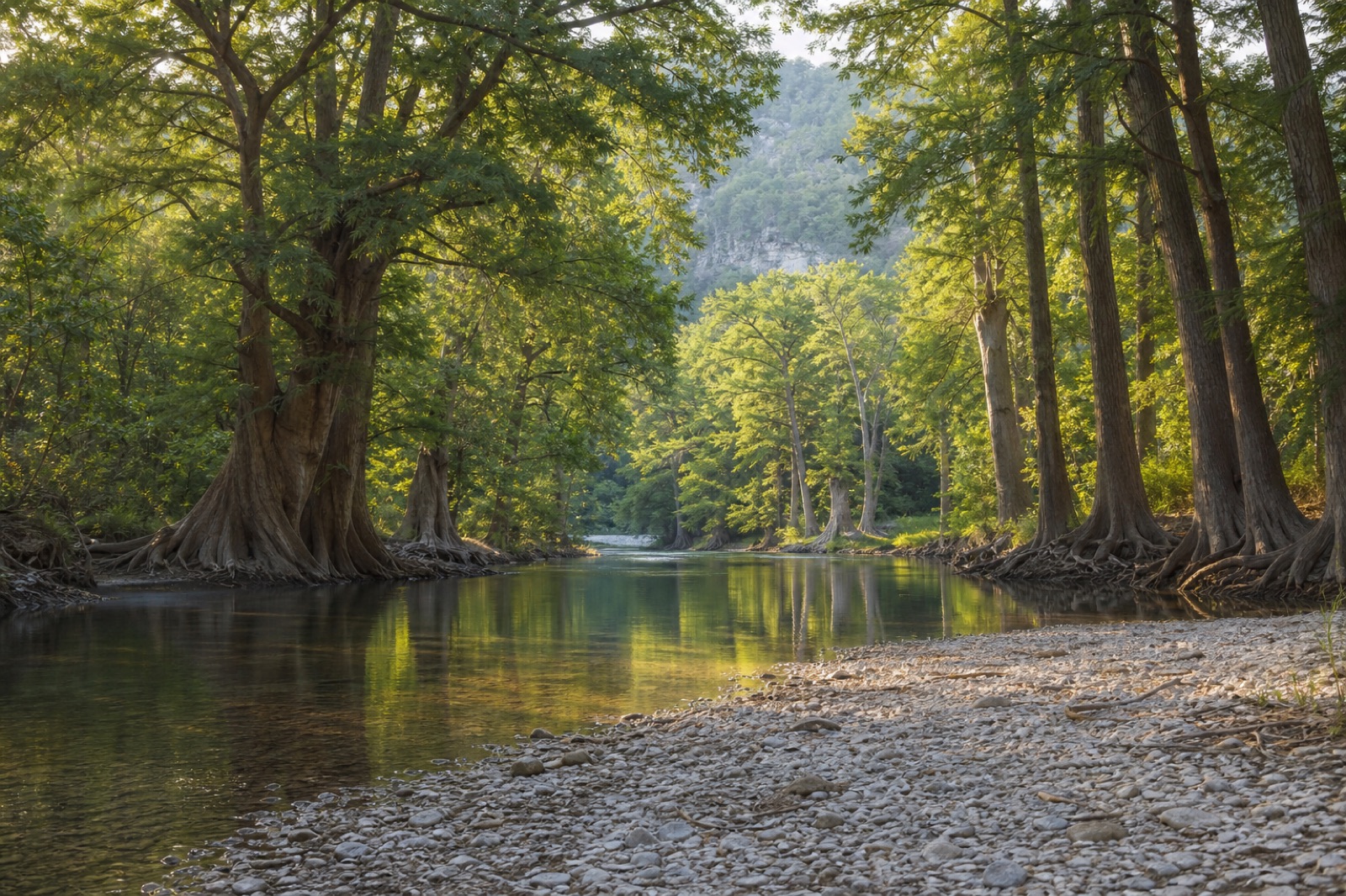 A clear, slow river winding between tall cypress trees, with a pebble bank in the foreground