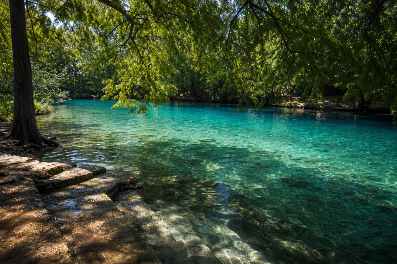 Clear turquoise spring water under overhanging green branches, with stone ledges along the bank