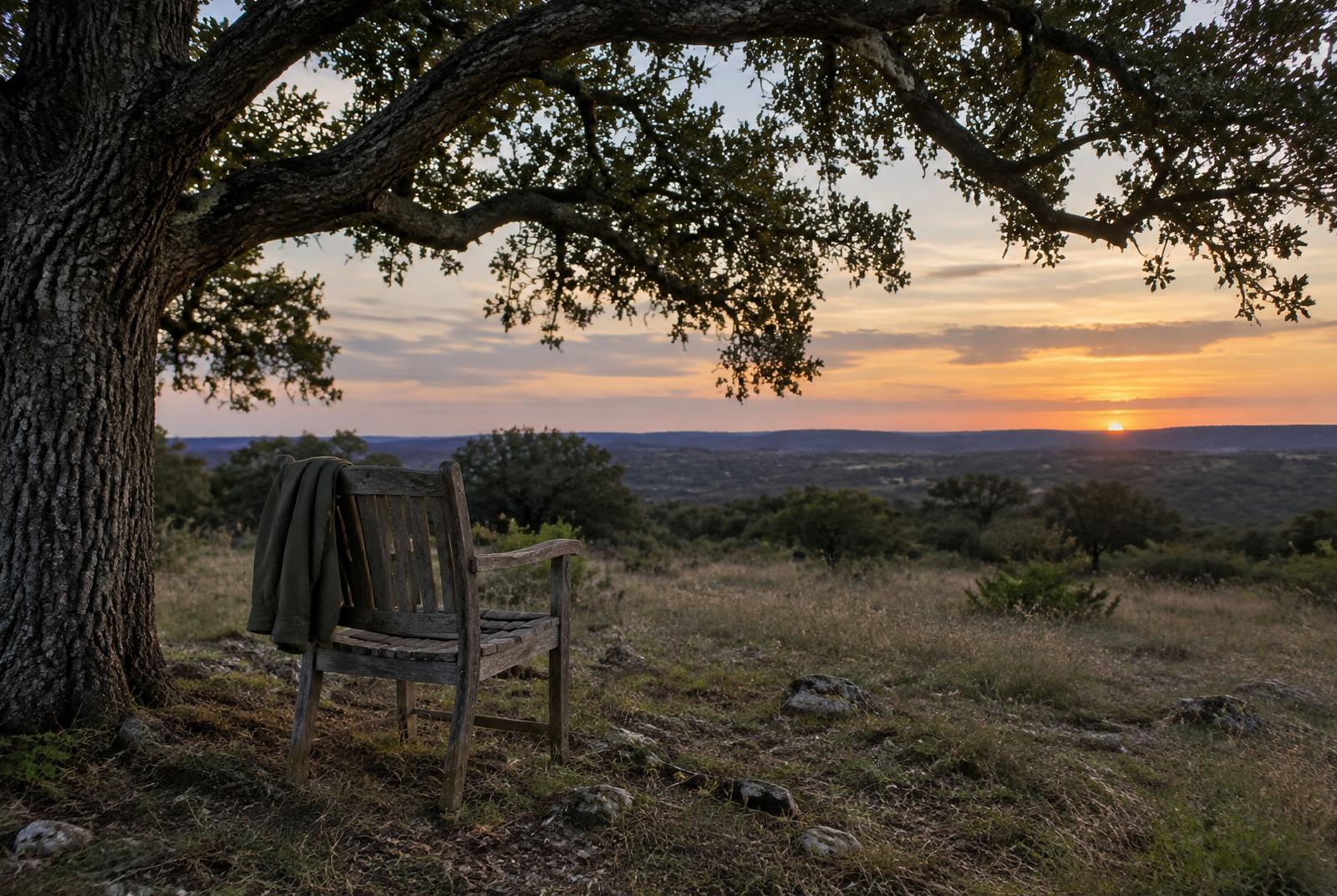 An empty wooden chair with a jacket beneath a live oak at sunset