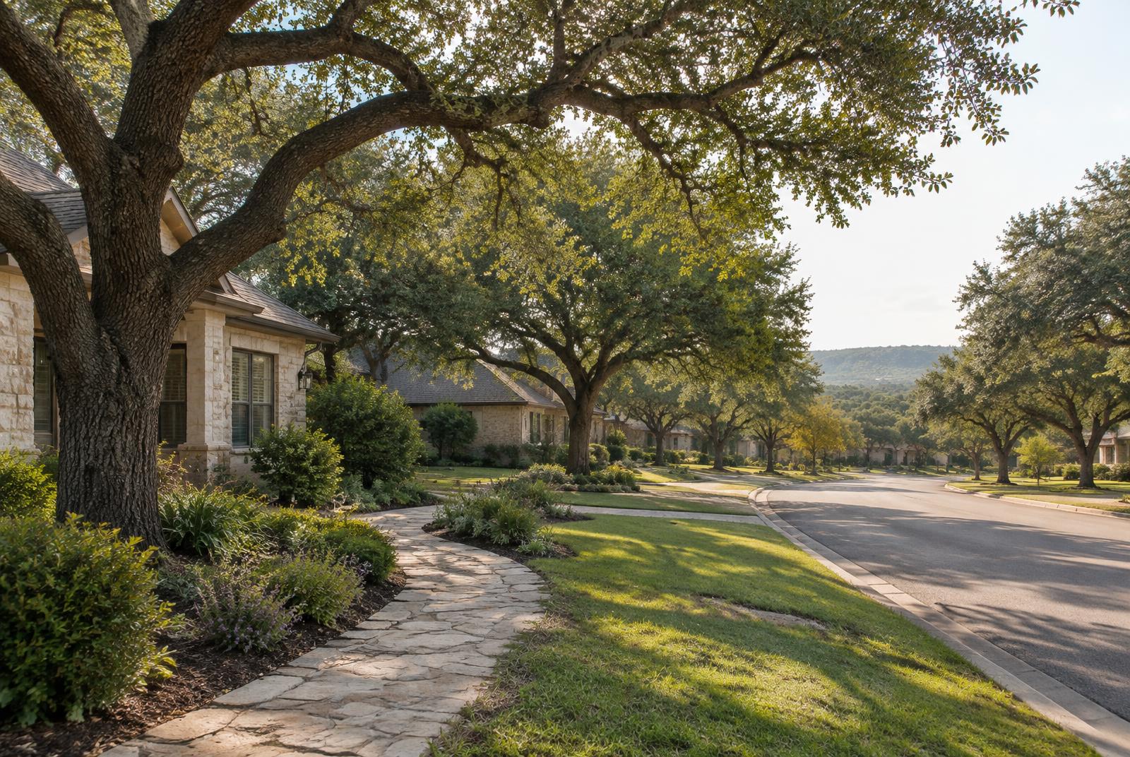 Oak-shaded residential street in Central Texas morning light