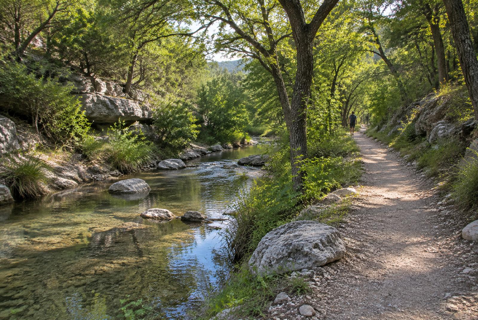 Person walking away beside a tree-lined creek